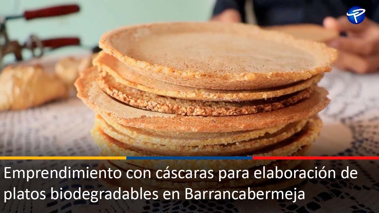 Emprendimiento con cáscaras para elaboración de platos biodegradables en Barrancabermeja