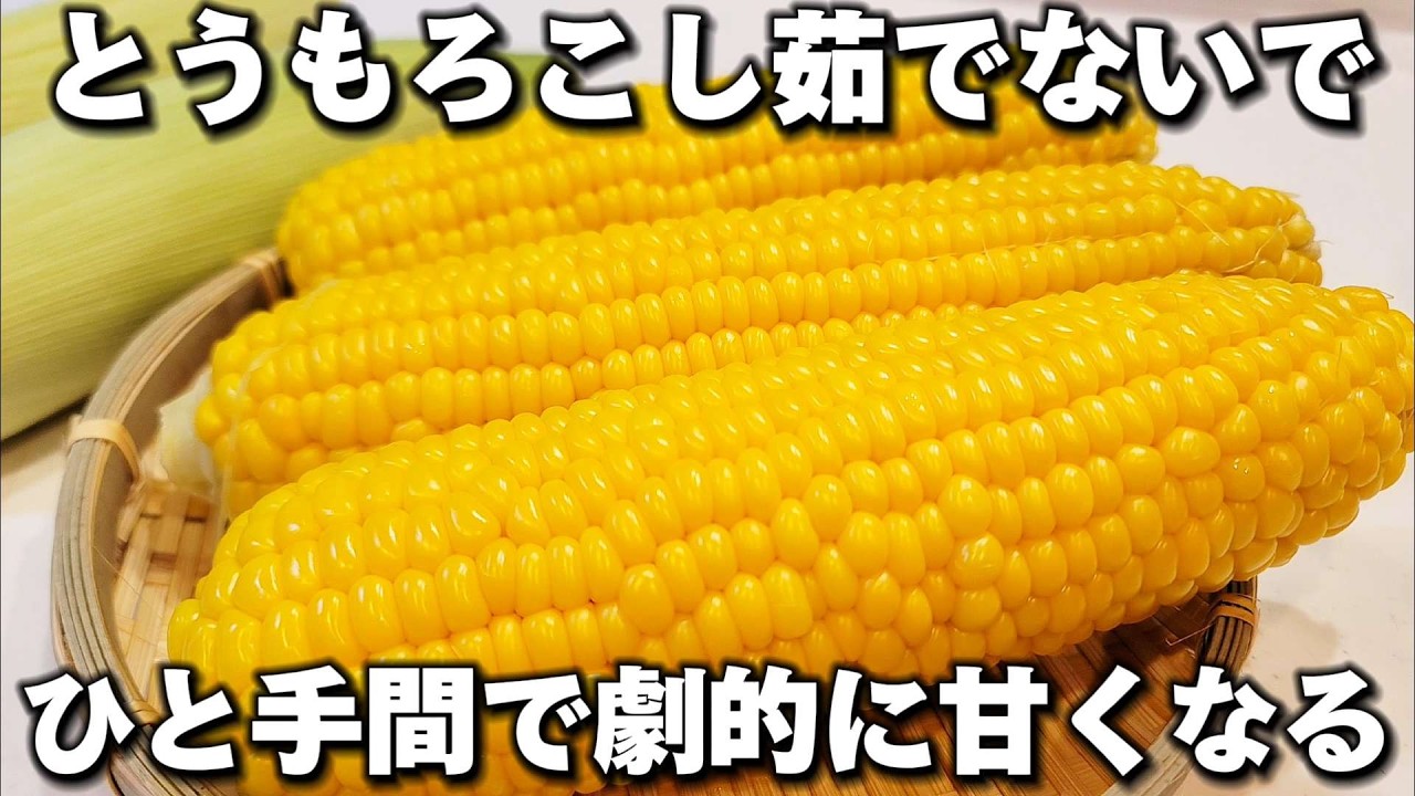 驚きの甘さ！栄養も逃さない、覚えたら一生使えるとうもろこしの下処理。翌日も翌々日もずっと美味しい！