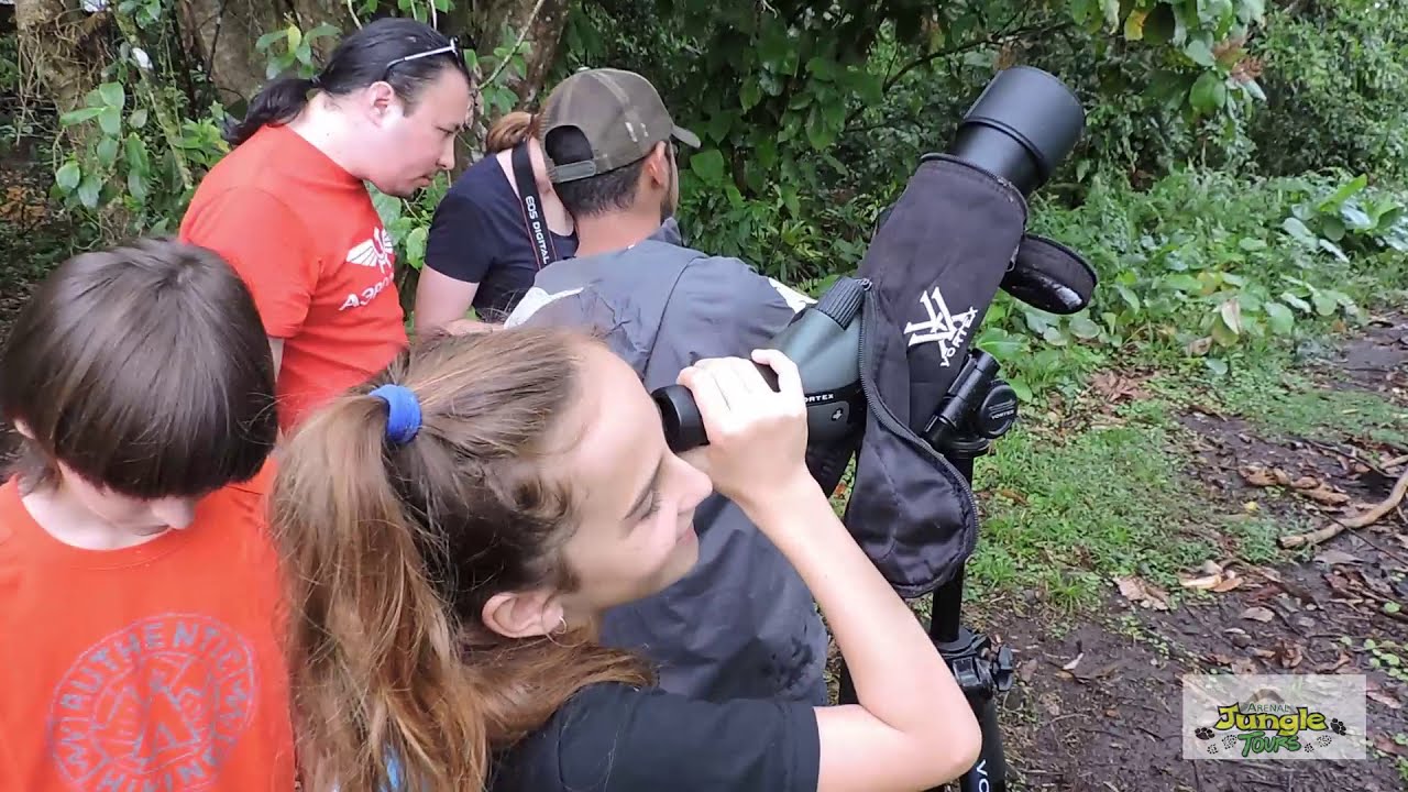 Sloth watching Tour La Fortuna Costa Rica