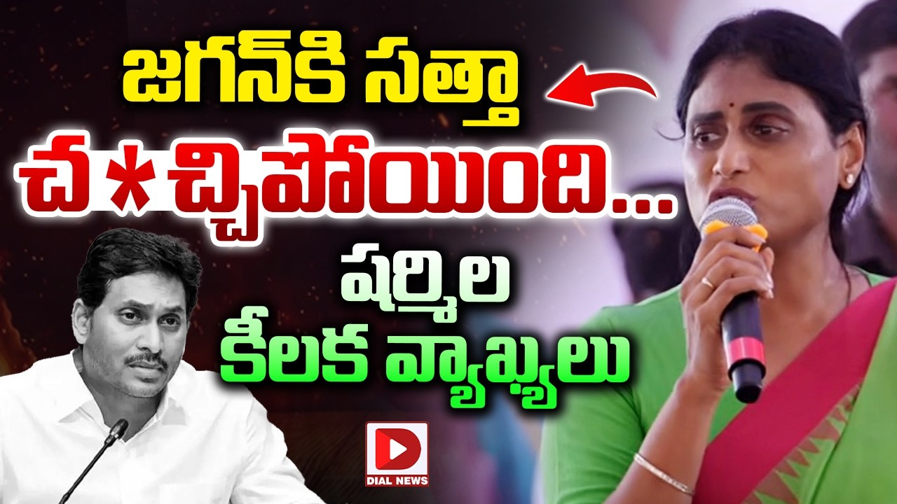 జగన్ కి సత్తా చచ్చిపోయింది..  షర్మిల కీలక వ్యాఖ్యలు || YS Sharmila comments on YS Jagan | Dial News