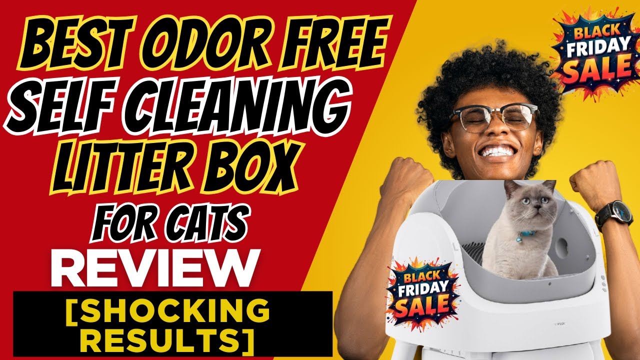 Best Odor Free Self Cleaning Litter Box for Cats Review [Shocking Results]