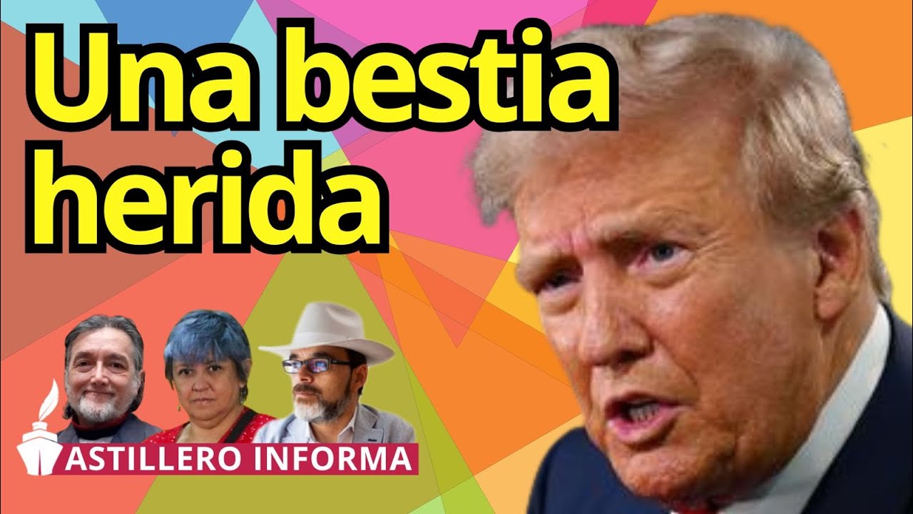 Trump llegará debilitado a elección intermedia; cada vez es más repudiado dentro y fuera de EU: mesa