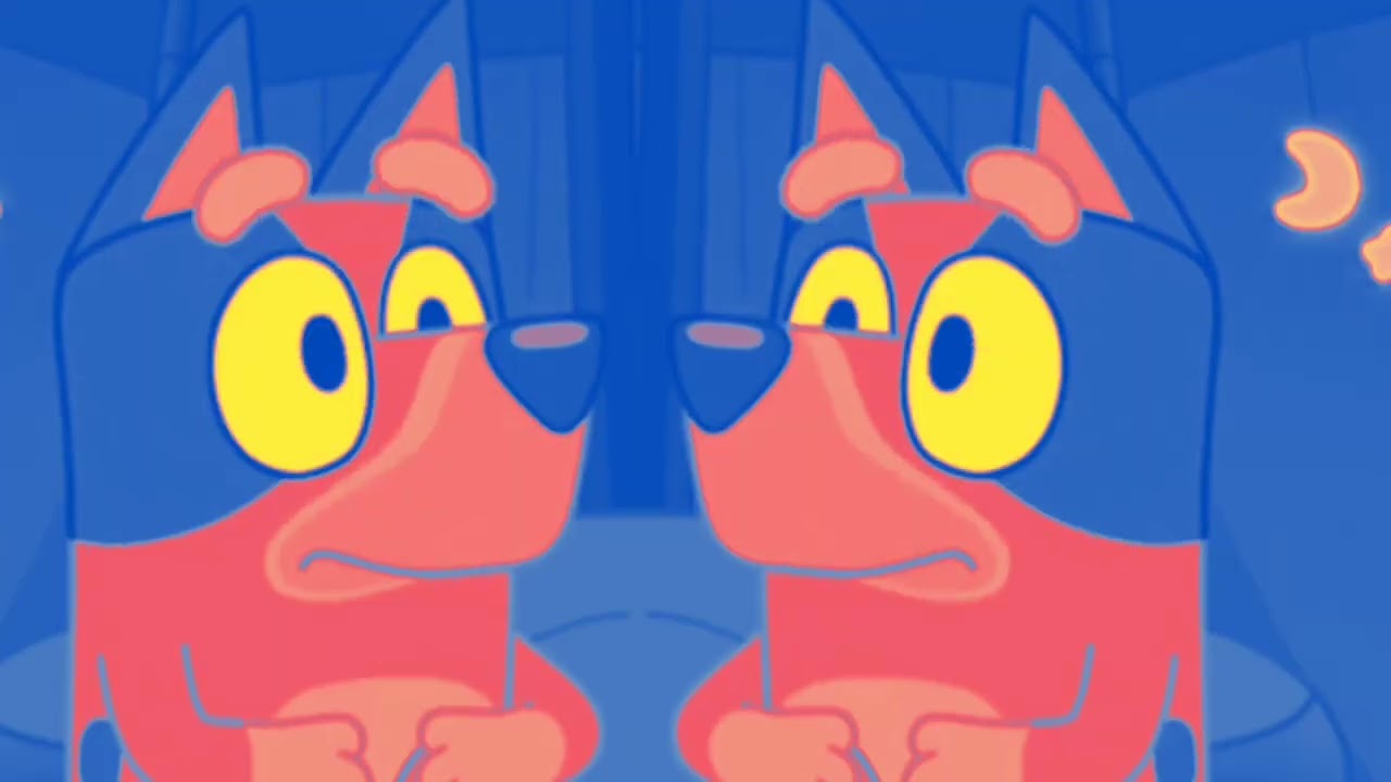 TWO PETS HEAR A NOISE! 🐶🐱