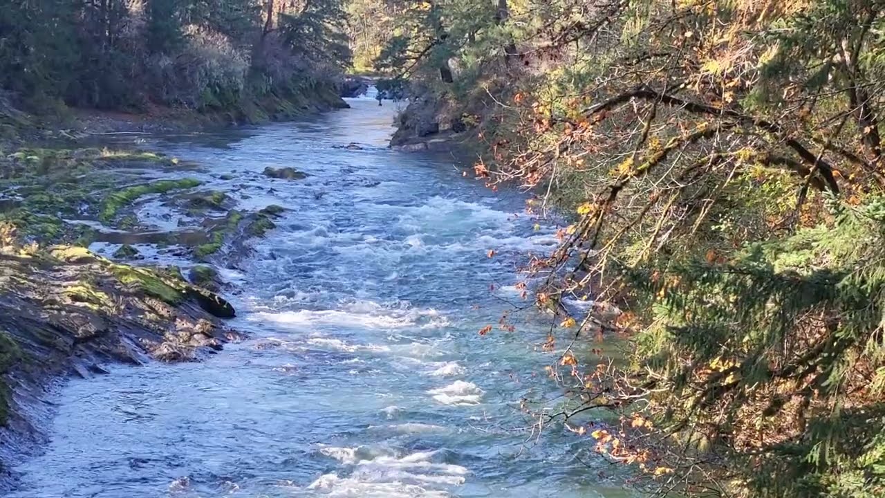 Bridge at Skutz Falls Parking Lot