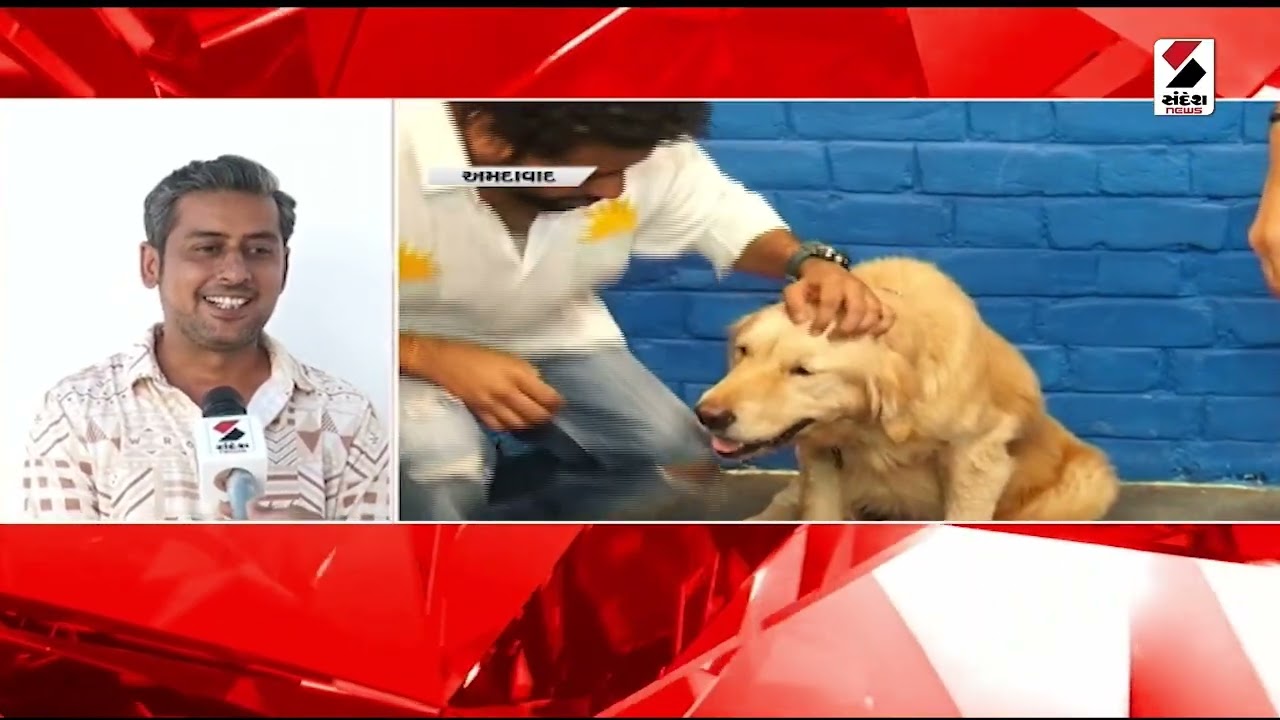 Metro 50 | Baroda Dairy Election | વડોદરા ડેરીની ચૂંટણીમાં ભાજપ VS ભાજપનો જંગ | BJP |