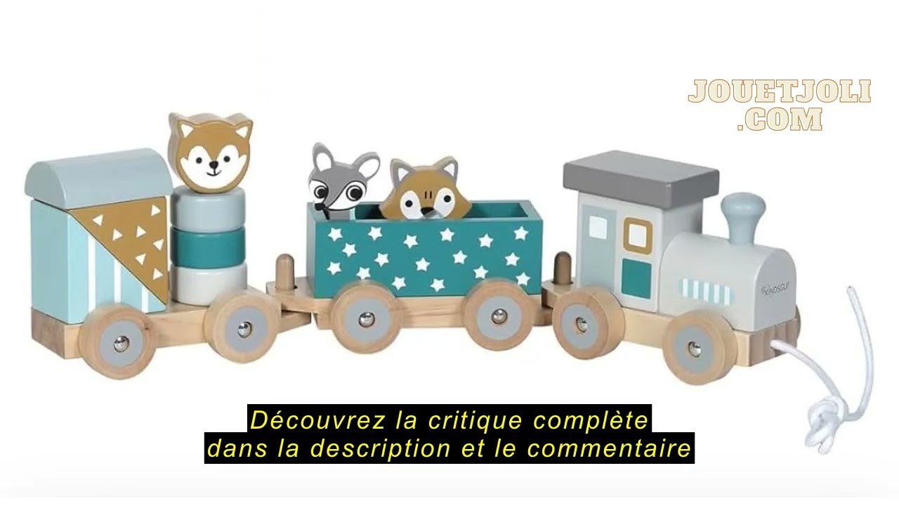 Avis sur la Kindsgut Petit Train en Bois et Cubes de Construction, Jouet en Bois bébé, Les Animaux d
