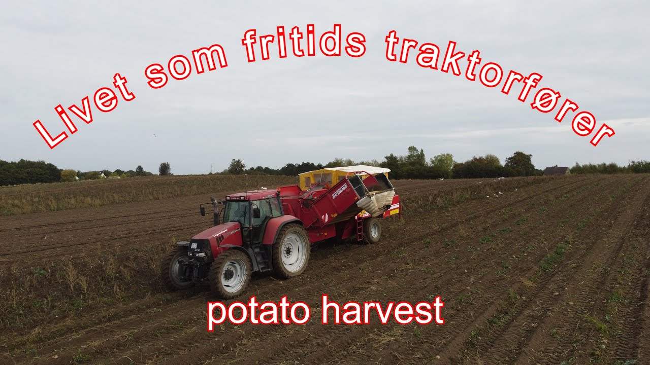 potato harvest (pov) with grimme se 85-55 one row