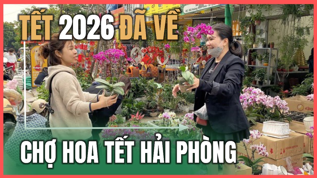 Chợ Hoa Tết Hải Phòng 2026 | Chợ Hàng Hải Phòng (14.12.2025)