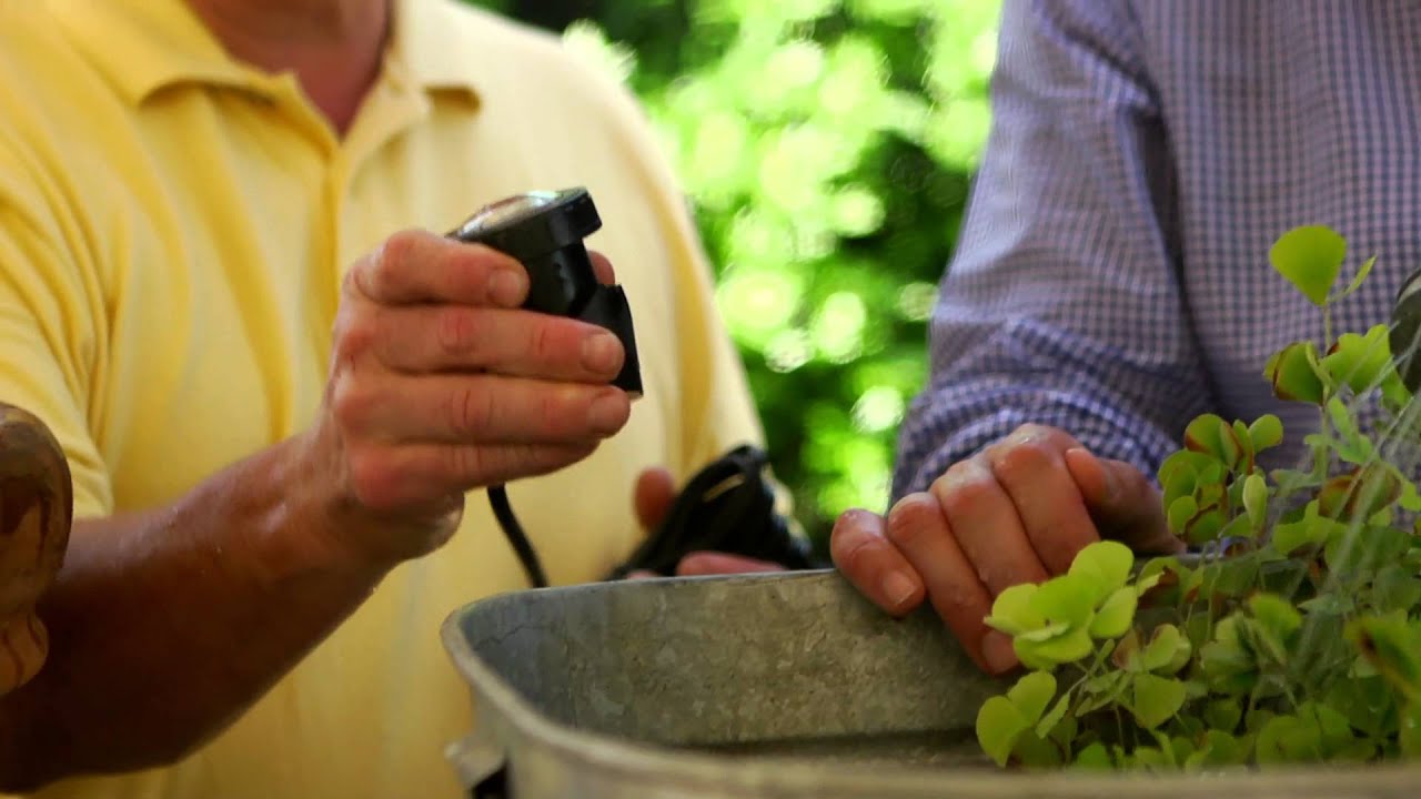 Laguna Ponds DIY water features with P. Allen Smith
