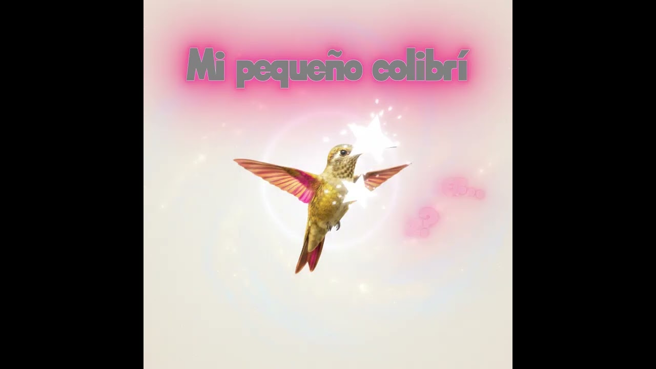 Mi pequeño colibrí