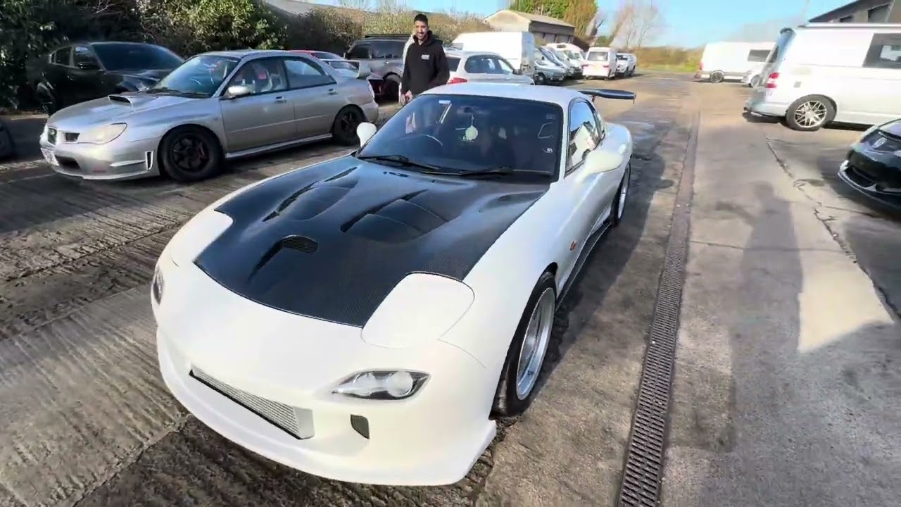 FDRX7 13B Semi PP - collection from Dream Bodyworkz