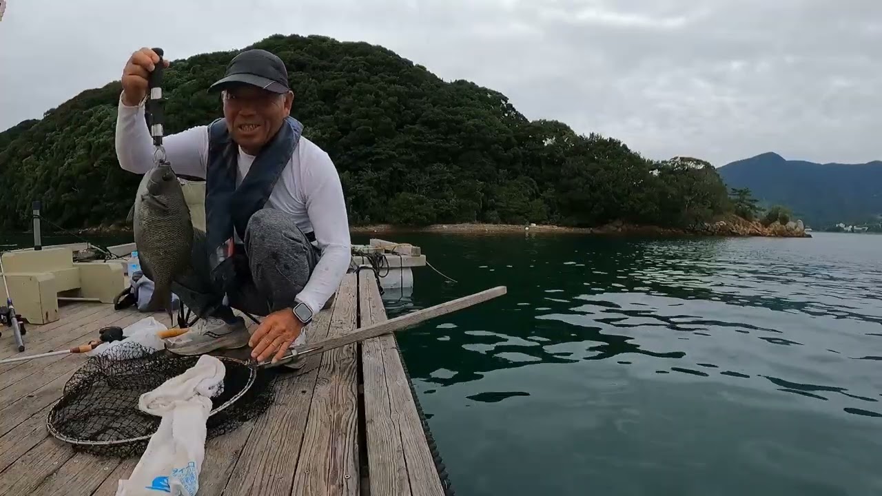 1号イカダから中国虫でクロ　タイ釣り