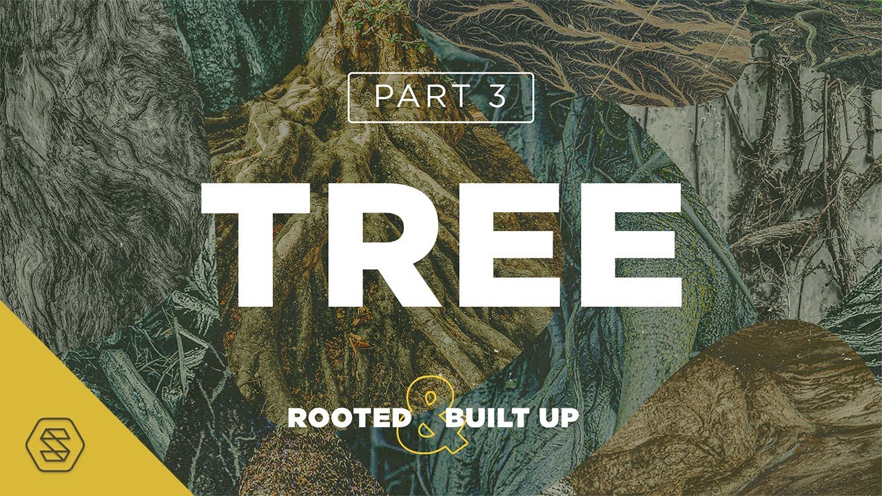 Tree // David Asscherick