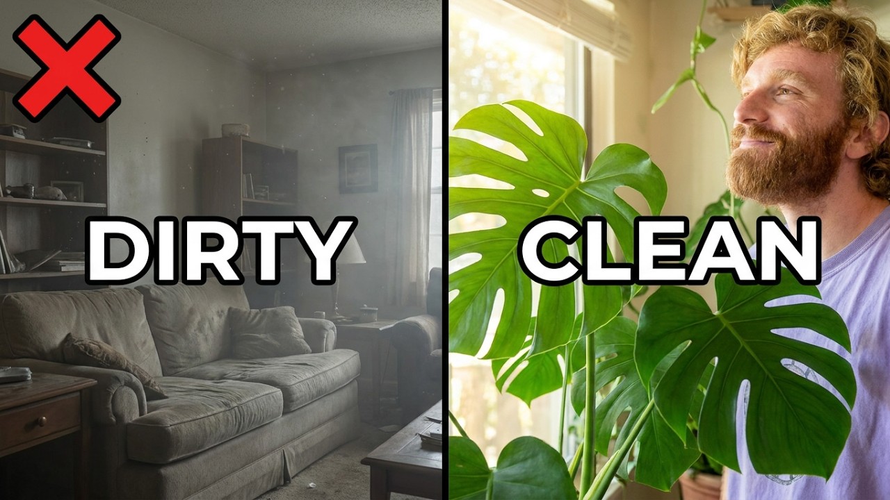 Best Plants For Purifying And Cleaning Air Indoors - Beautiful, Easy + Good For Your Health!