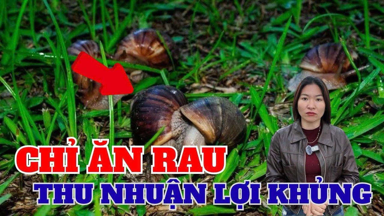 Chỉ ăn rau th&ocirc;i m&agrave; lợi nhuận kh&ocirc;ng hề &lsquo;rẻ  ch&uacute;t n&agrave;o!&rdquo; 🌱💰