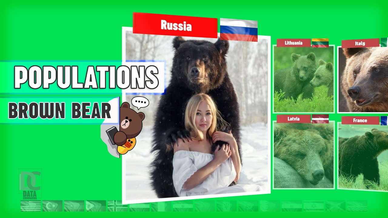 Brown Bears🐻 Population Comparison: Which Countries Have the Most?