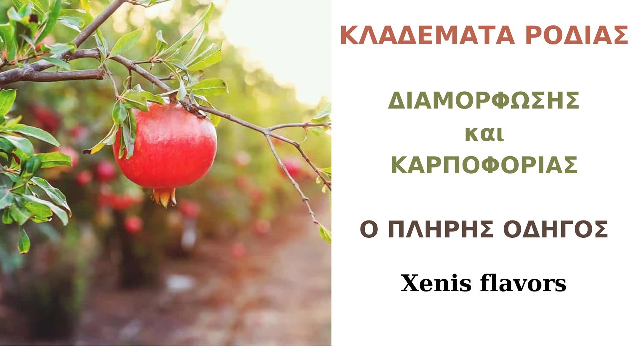 ΡΟΔΙΑ ΚΛΑΔΕΜΑΤΑ ΔΙΑΜΟΡΦΩΣΗΣ Κ ΚΑΡΠΟΦΟΡΙΑΣ! ΑΝΑΛΥΤΙΚΟΣ ΟΔΗΓΟΣ! Xenis flavors