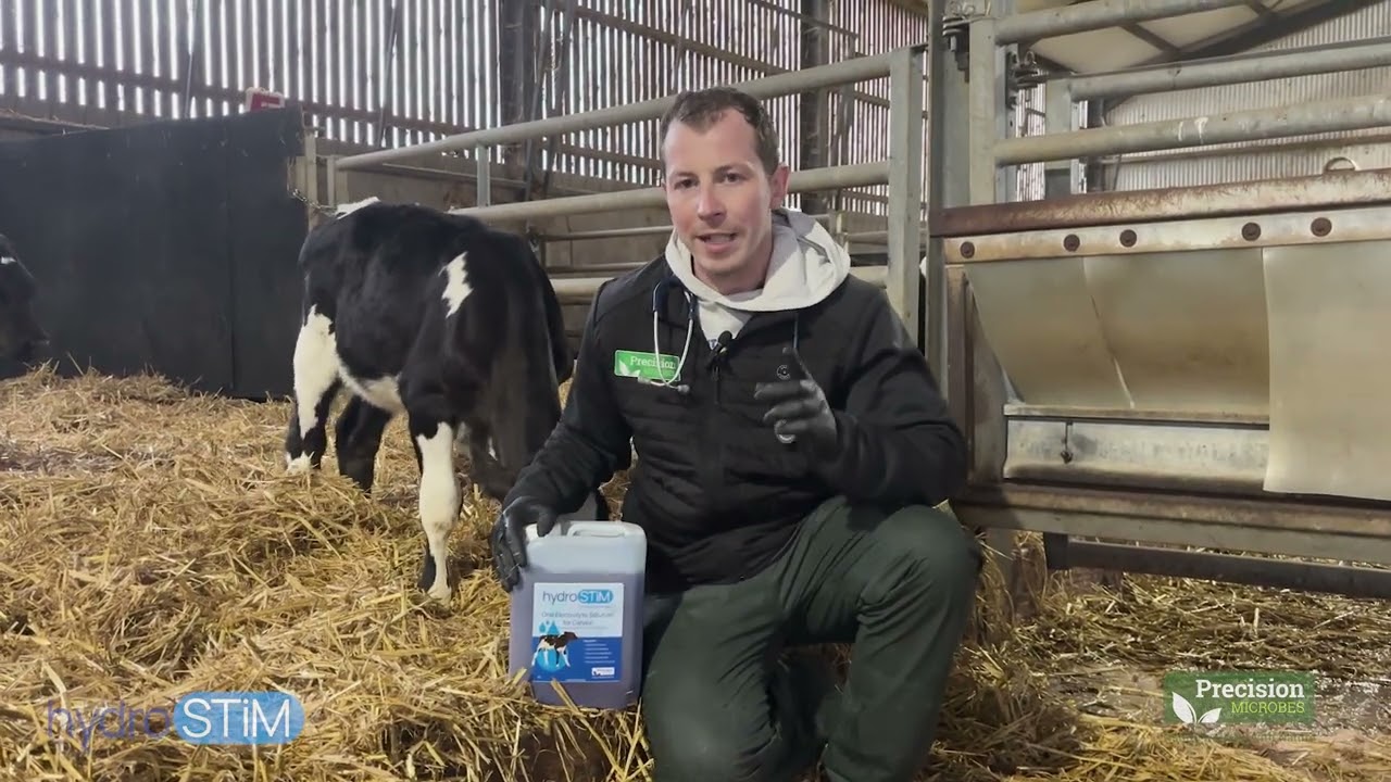 Common Mistakes with Calf Electrolytes | How to Maximise Recovery from Scour (Episode 10)