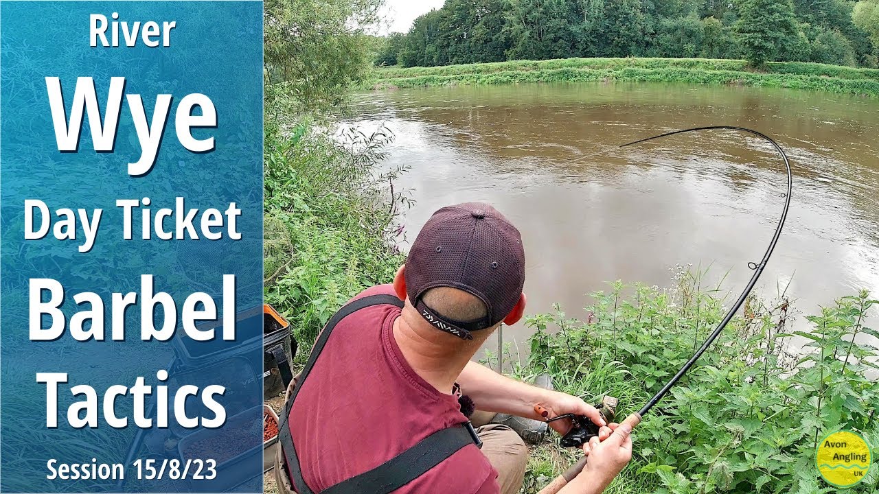 Day Ticket Barbel Fishing The River Wye - Approach & Tactics - It's Rising Fast! - 15/8/23 (Vid 427)