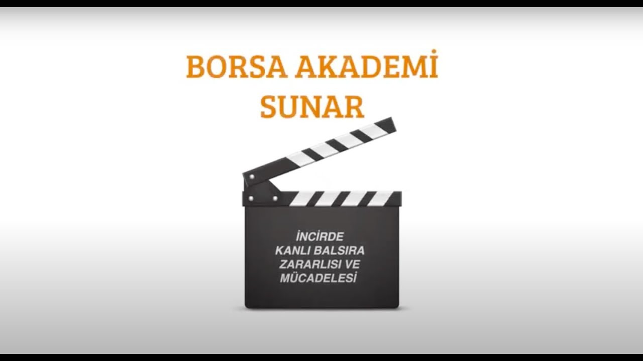 İncirde Kanlı Balsıra Zararlısı ve Mücadelesi