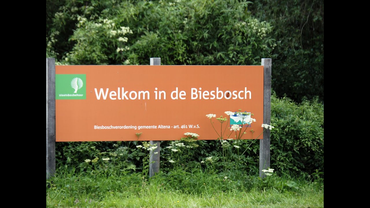 Nationaal Park de Biesbosch - juli 2023 - National Park de Biesbosch NL - July 2023