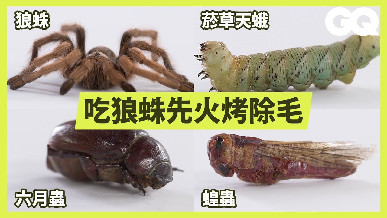 廚師示範20種高級蟲料理！除蝗的最好方法就是吃掉它？ How To Eat Every Insect｜科普長知識｜GQ Taiwan