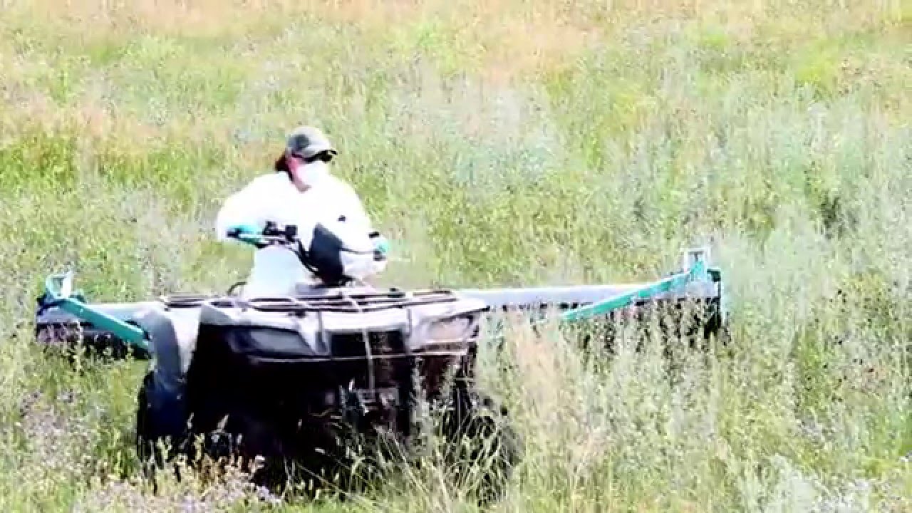 SFC Weed Wiping Video