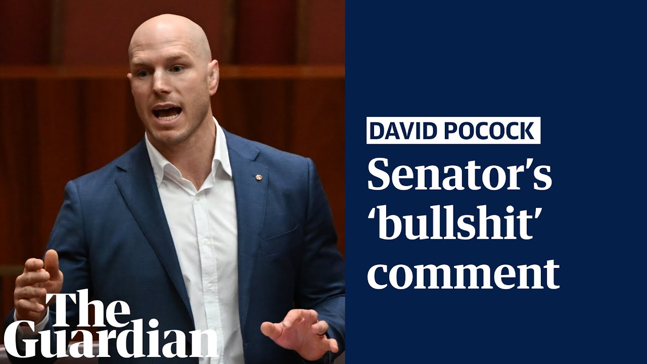 David Pocock withdraws comment after criticising climate scepticism: &lsquo;Bullshit&rsquo;