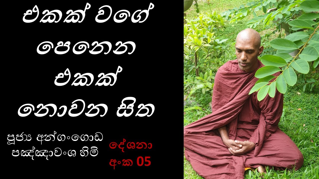 දේශනා අංක 05 එකක් වගේ පෙනෙන එකක් නොවන සිත
