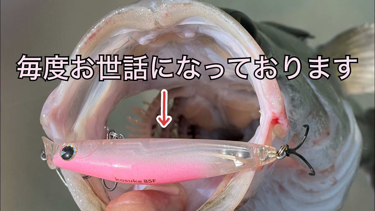 【シーバス】この時期の雨後の河川でこのルアーに助けられた【コスケ85F】