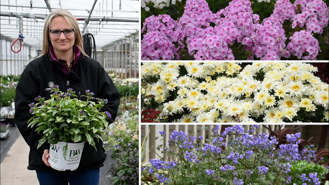 New Perennials for 2021 (2020 Professional Release)