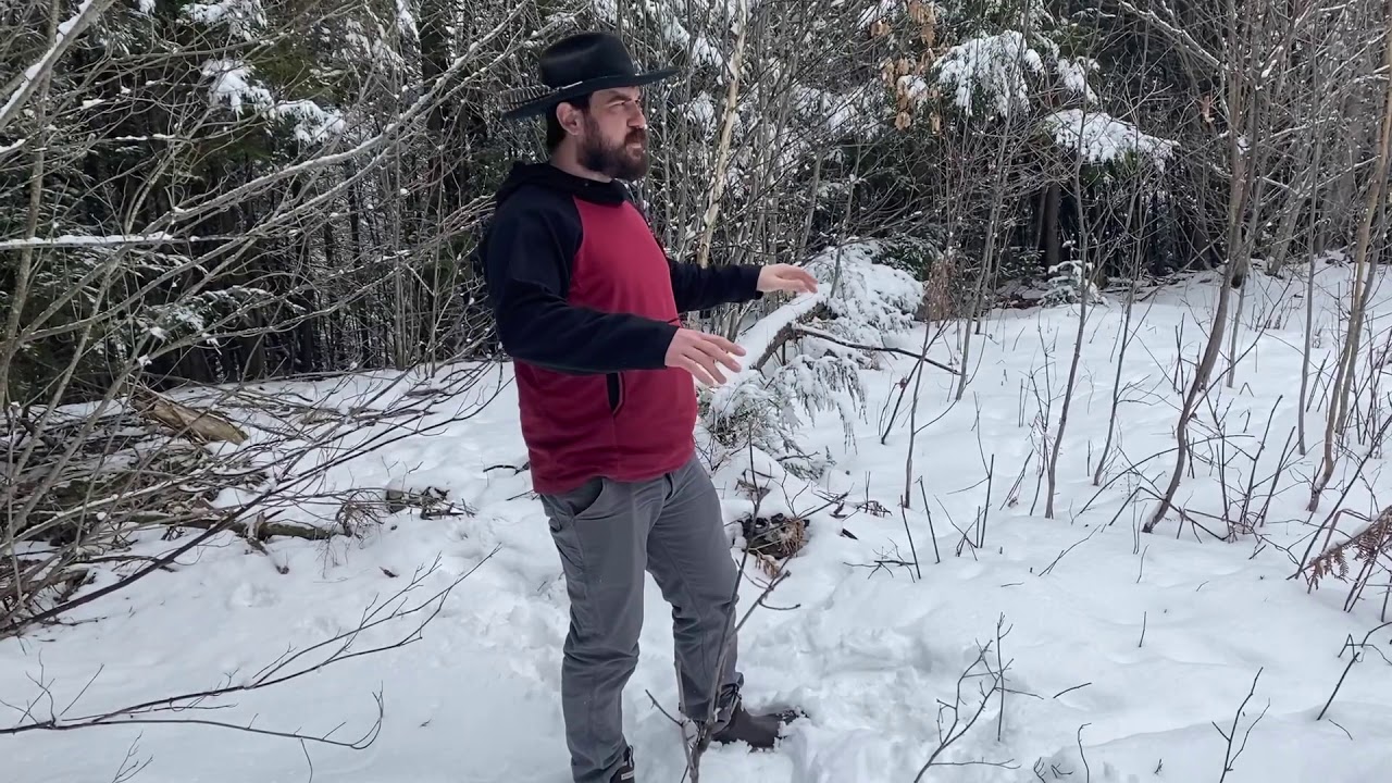 MAINE LAND FOR SALE WITH A POND FOR LESS THAN $20,000!