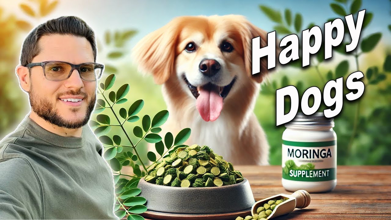 Moringa Dog Feed Supplements | The #1 Superfood for your Pets