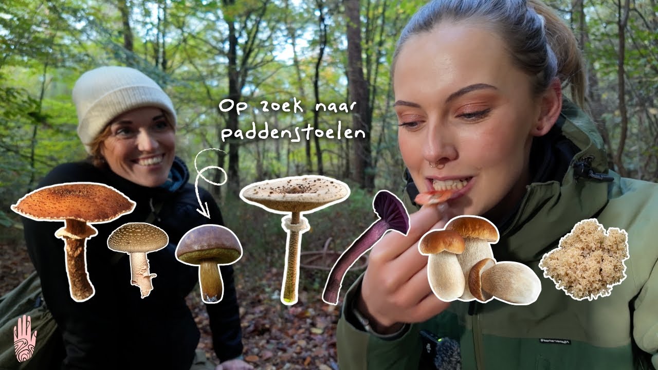 Paddenstoelen zoeken op de Amerongse Berg