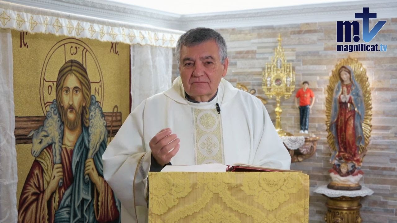 ✝️ Homélie | Mémoire de Saint Ildefonse, évêque | 23-01-2026 | P. Santiago Martín FM ✝️