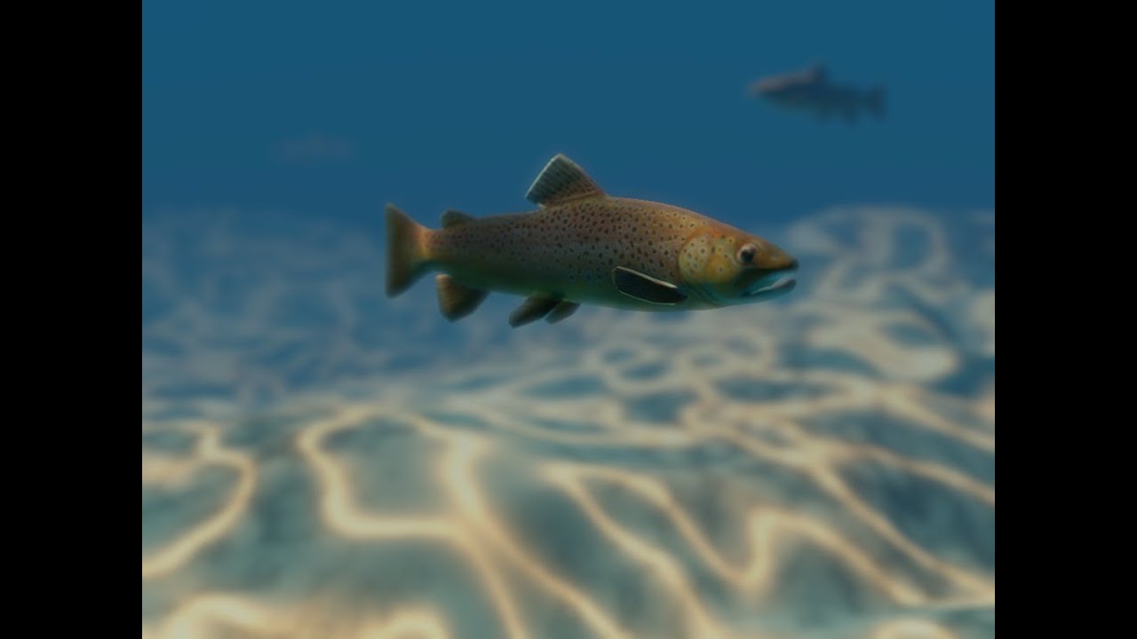 Adding Depth of Field to our Underwater scene in Maya