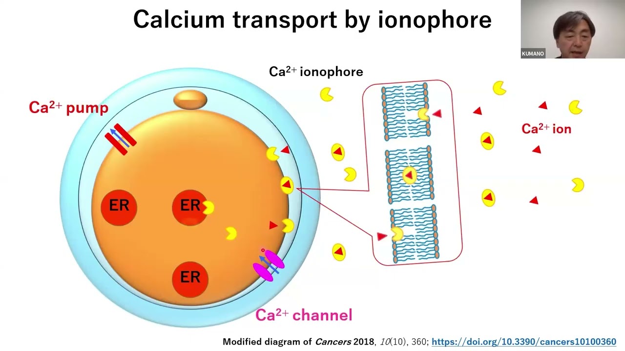 沖津先生 zoom 英語パート