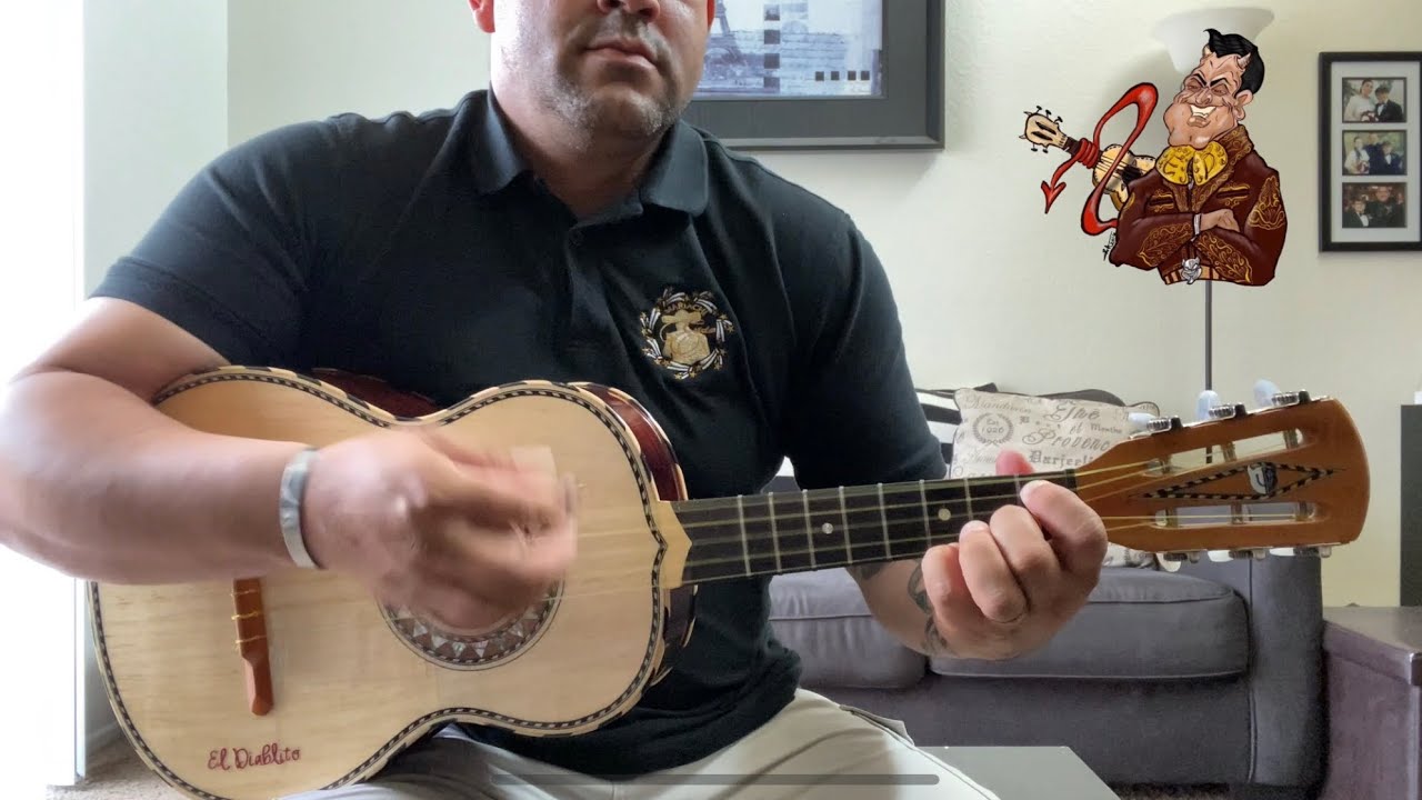 Te Amaré Toda La Vida (vihuela cover) Javier Solís