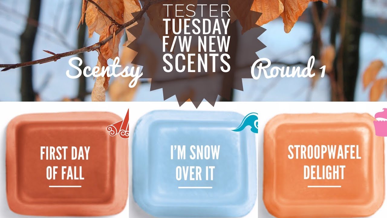 Tester Tuesday Scentsy Fall Winter New Scents - Round 1