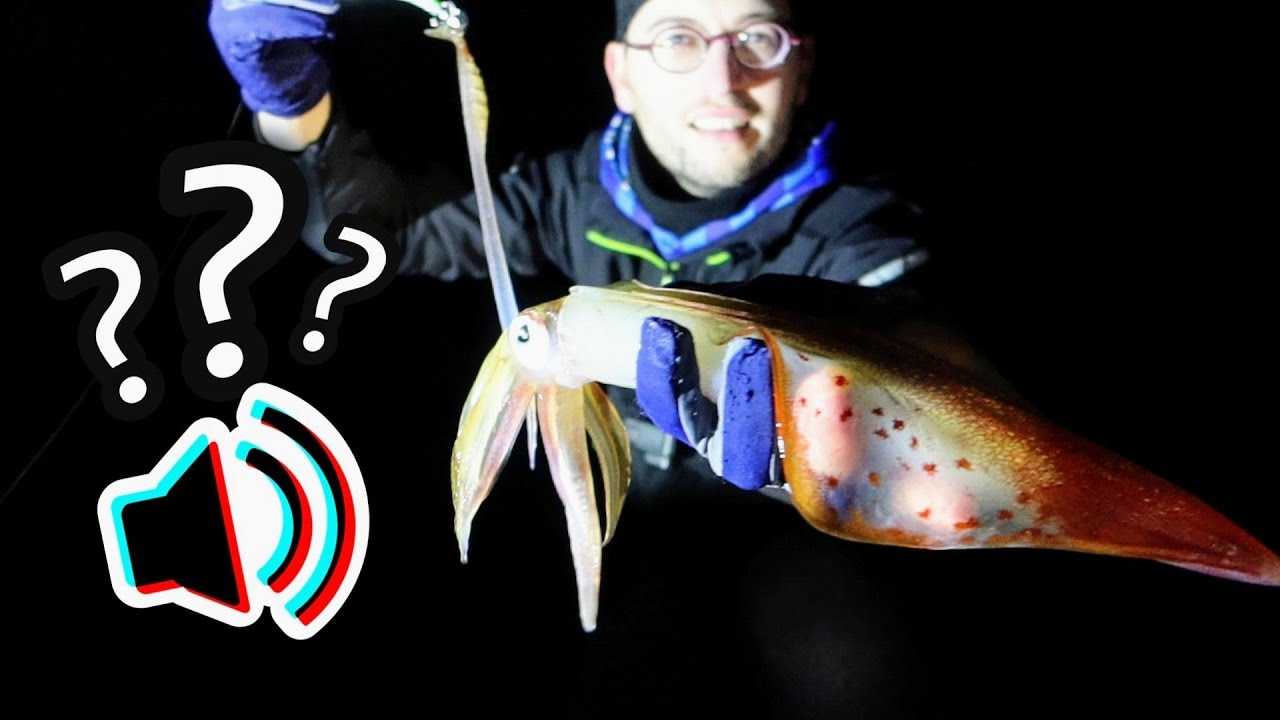 CALAMARES a EGING desde costa ✅ ¿CON o SIN SONAJERO? ❌ ¿CUÁL PESCA MÁS?