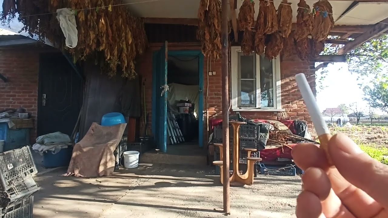 Bolivian Black дегустация. 31.10.2023