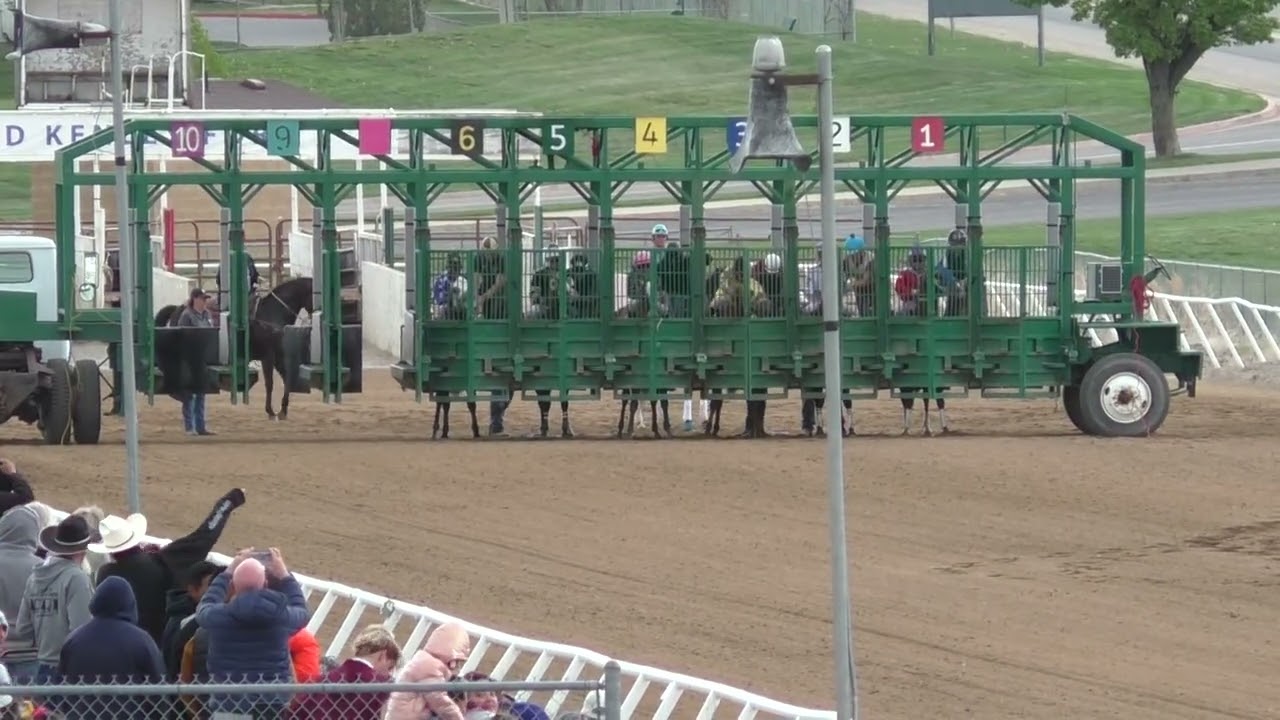 Race 5 Quarter Horse Allowance - 350 Yards