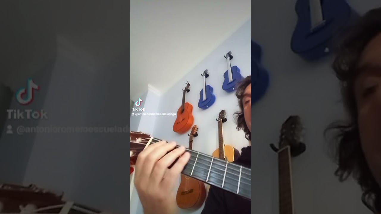 Bajo de la canción 