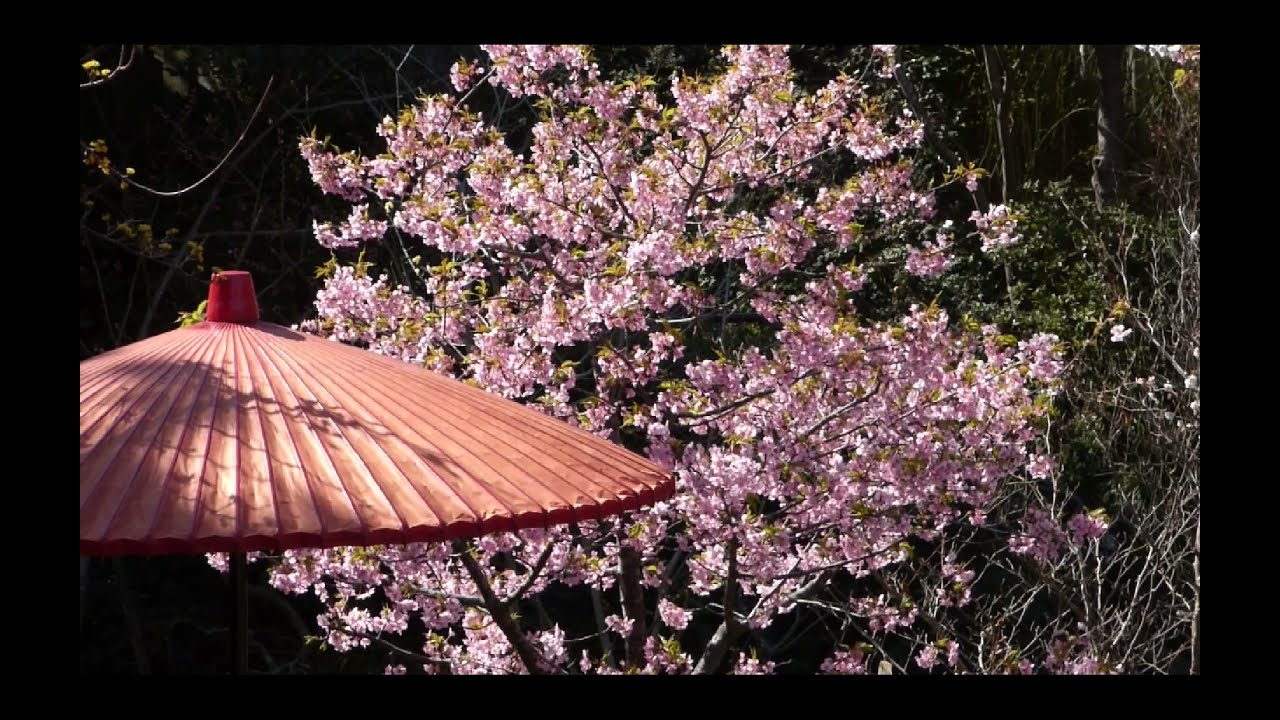 Kamakura, Japan (Hasedera Temple)