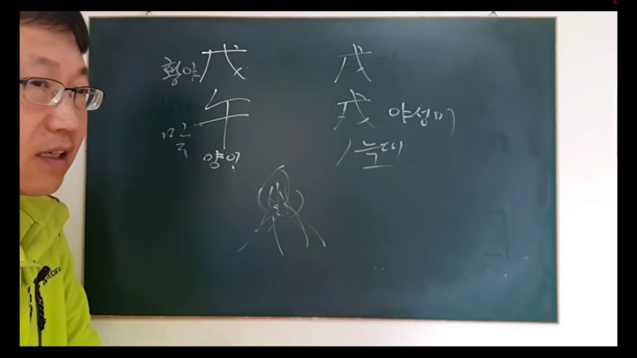 무오일주 일주론 - 피클의 행복한 명리