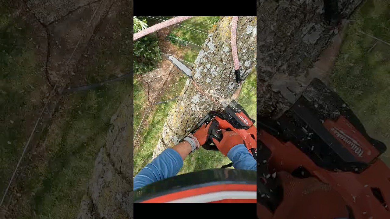No Job More Fun Than This