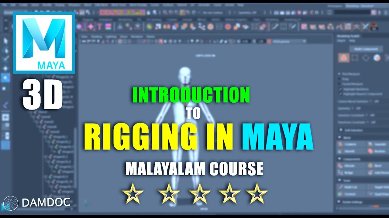 IF YOU WANT TO BE RIGGING ARTIST .THEN TAKE THIS COURSE