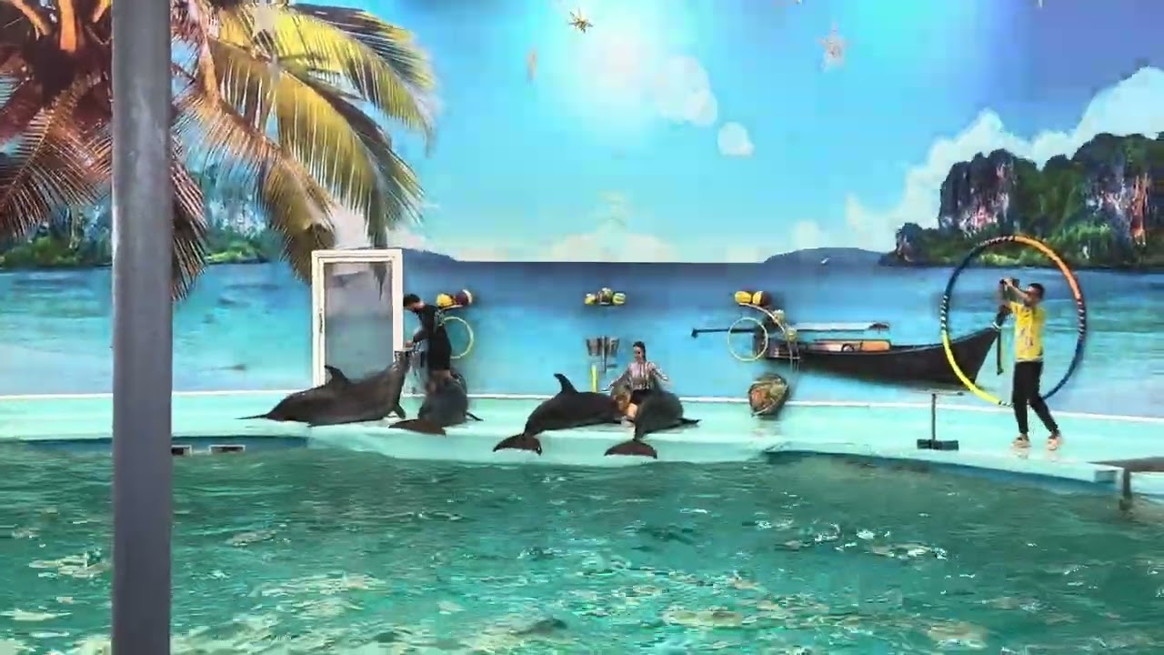 Thailand ka Famous Dolphin dance #entertainment 🔥🤣🌹