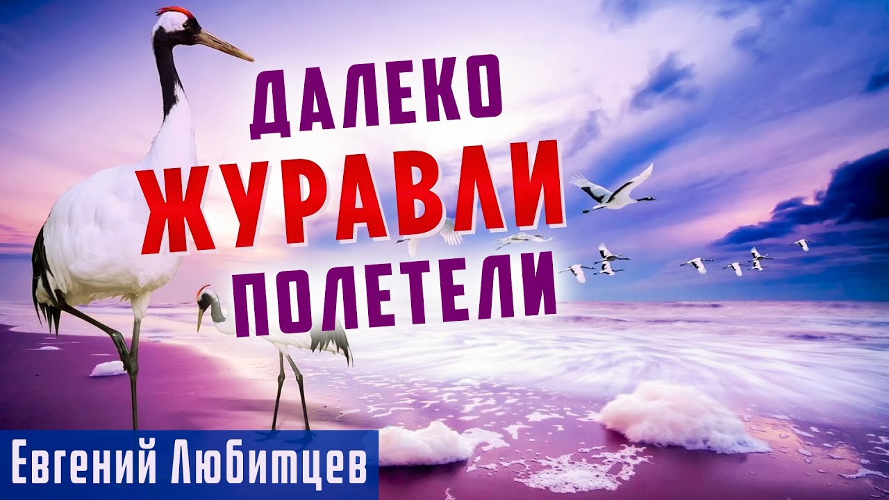 ДУШЕВНАЯ ПЕСНЯ СО СМЫСЛОМ! | Далеко журавли полетели - Евгений Любимцев