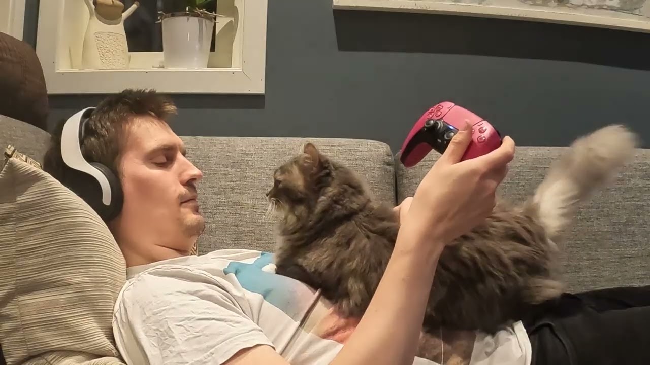 Cat won't let me play Video Games alone &ndash; 10 Year Anniversary Edition
